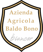 Azienda Agricola Baldo Bono Sciacca